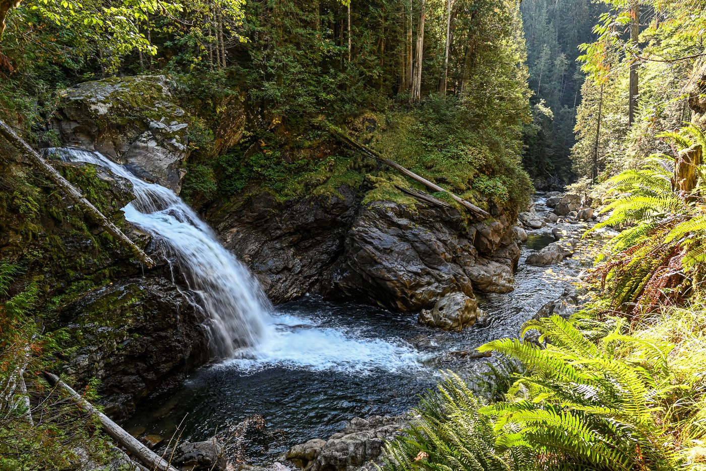 North Fork Sauk Falls — Washington Trails Association